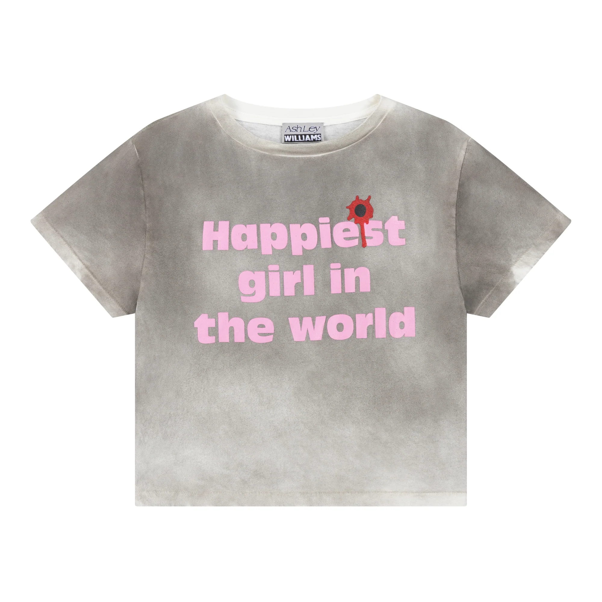 WASHED GREY HAPPY CROPPED T-SHIRT