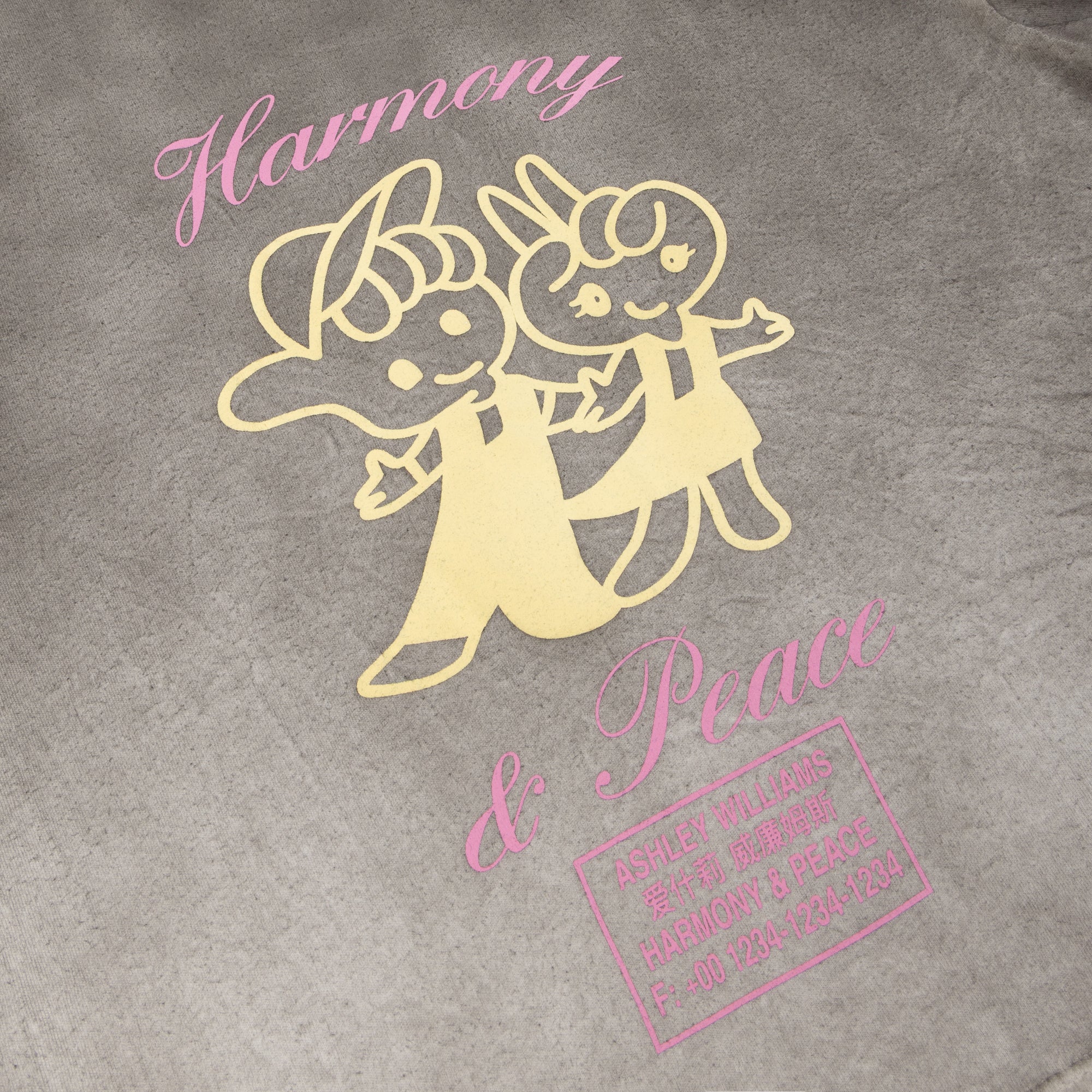 WASHED GREY HARMONY & PEACE CROPPED T-SHIRT - Image 4
