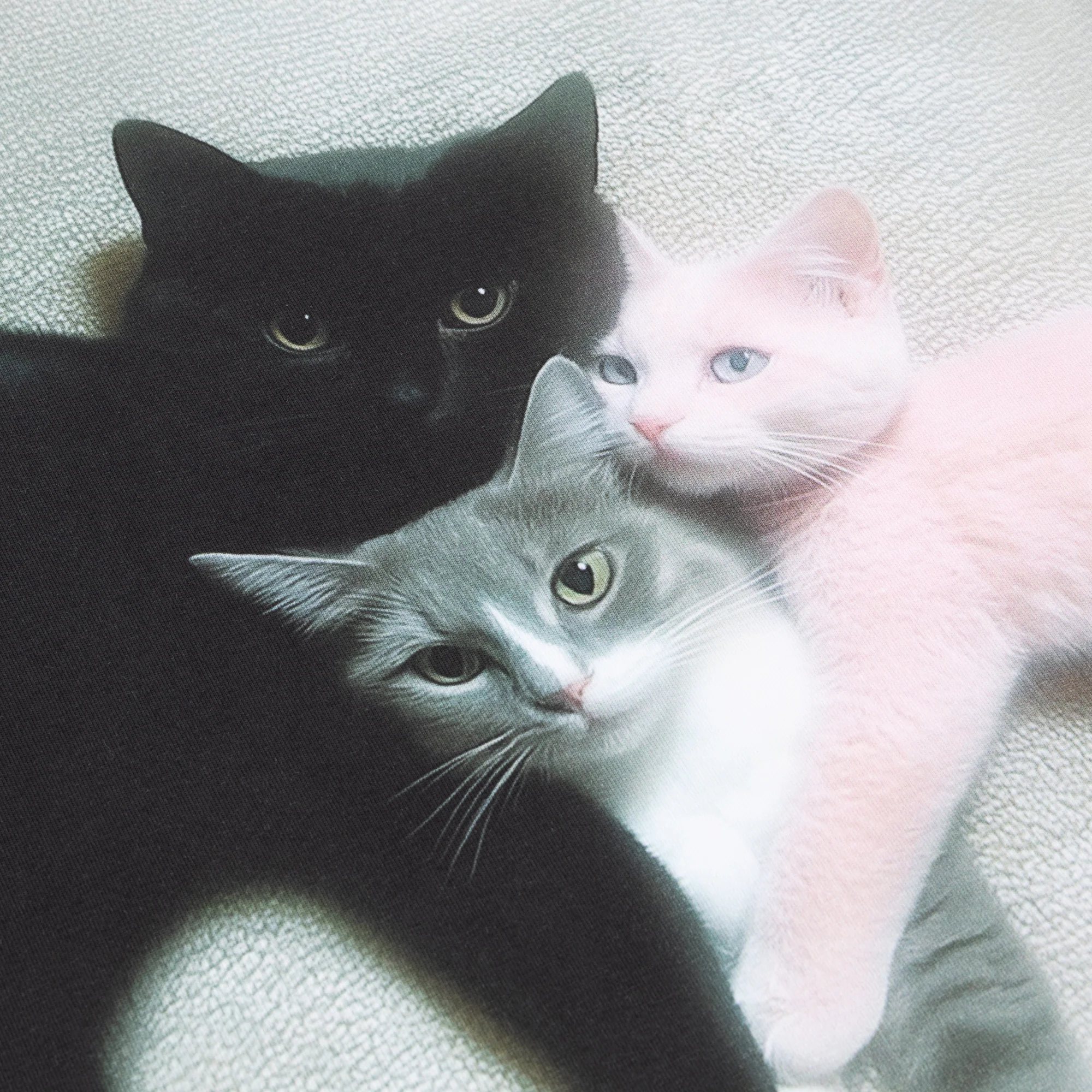 KITTEN TRIO T-SHIRT - Image 4
