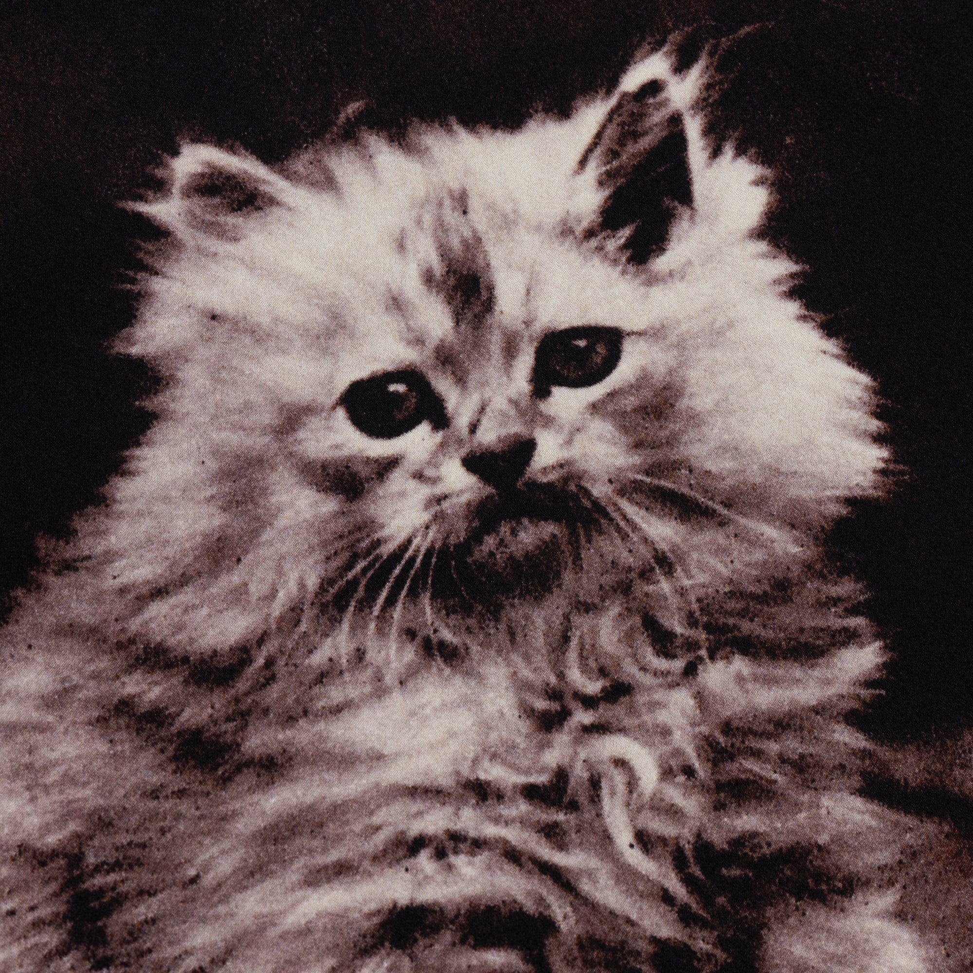 KITTEN MINI SKIRT - Image 2